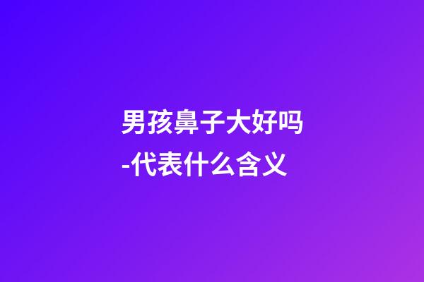 男孩鼻子大好吗-代表什么含义