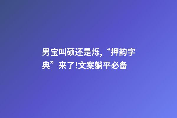 男宝叫硕还是烁,“押韵字典”来了!文案躺平必备-第1张-观点-玄机派