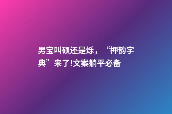 男宝叫硕还是烁，“押韵字典”来了!文案躺平必备-第1张-观点-玄机派