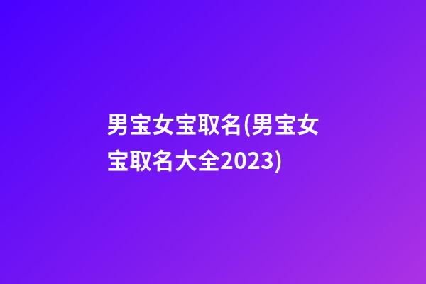男宝女宝取名(男宝女宝取名大全2023)