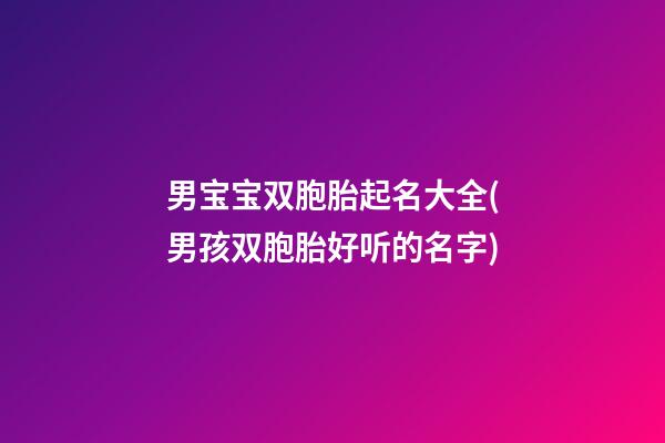 男宝宝双胞胎起名大全(男孩双胞胎好听的名字)