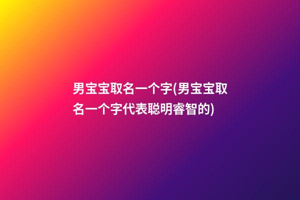 男宝宝取名一个字(男宝宝取名一个字代表聪明睿智的)