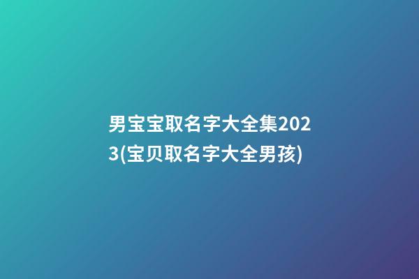 男宝宝取名字大全集2023(宝贝取名字大全男孩)