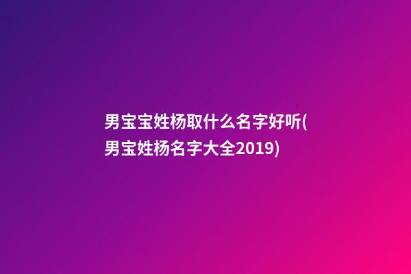 男宝宝姓杨取什么名字好听(男宝姓杨名字大全2019)