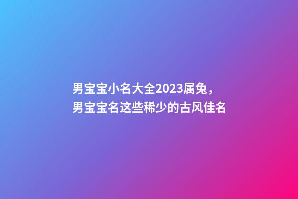 男宝宝小名大全2023属兔，男宝宝名这些稀少的古风佳名-第1张-观点-玄机派