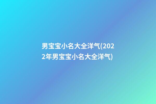 男宝宝小名大全洋气(2022年男宝宝小名大全洋气)
