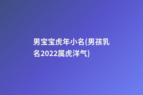 男宝宝虎年小名(男孩乳名2022属虎洋气)