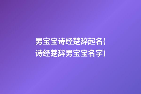 男宝宝诗经楚辞起名(诗经楚辞男宝宝名字)