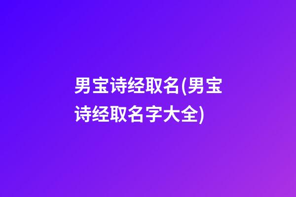 男宝诗经取名(男宝诗经取名字大全)