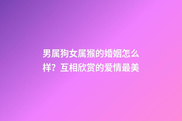 男属狗女属猴的婚姻怎么样？互相欣赏的爱情最美