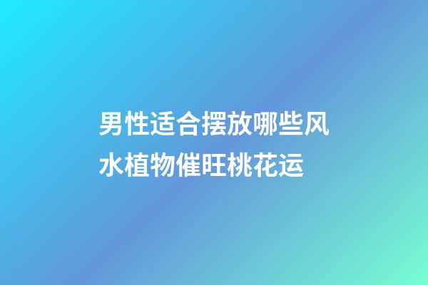 男性适合摆放哪些风水植物催旺桃花运