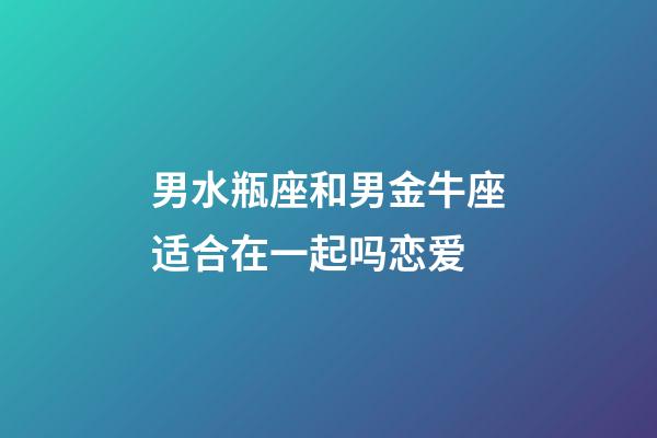 男水瓶座和男金牛座适合在一起吗恋爱-第1张-星座运势-玄机派