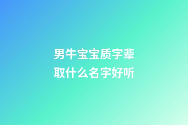 男牛宝宝质字辈取什么名字好听