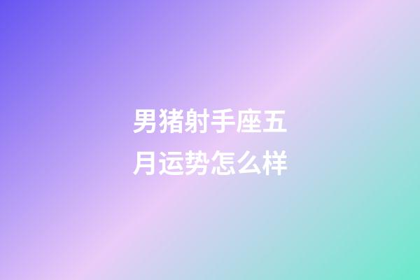 男猪射手座五月运势怎么样-第1张-星座运势-玄机派