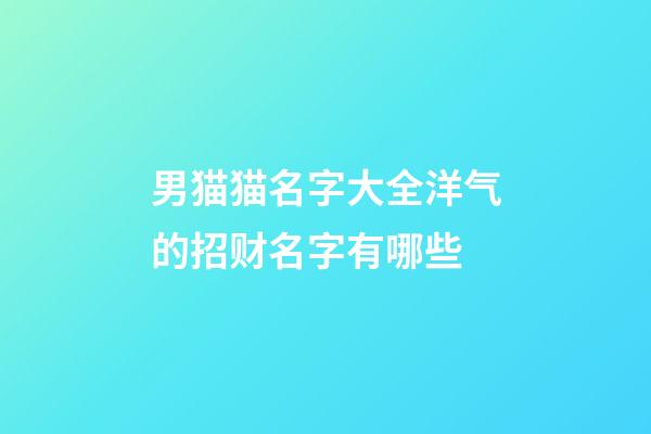 男猫猫名字大全洋气的招财名字有哪些