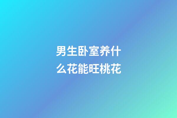 男生卧室养什么花能旺桃花