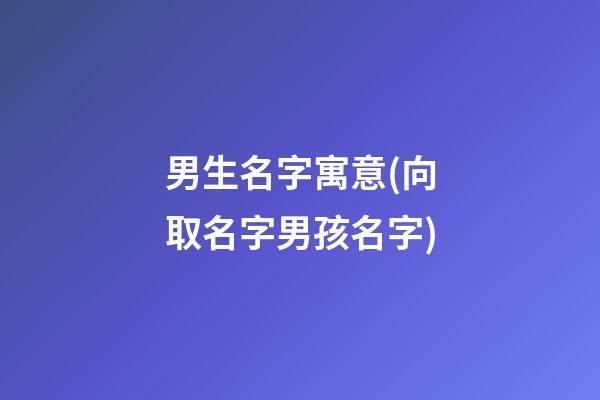 男生名字寓意(向取名字男孩名字)