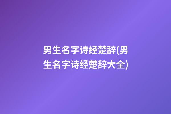 男生名字诗经楚辞(男生名字诗经楚辞大全)