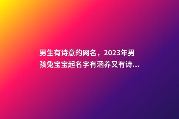 男生有诗意的网名，2023年男孩兔宝宝起名字有涵养又有诗意的男孩名字-第1张-观点-玄机派
