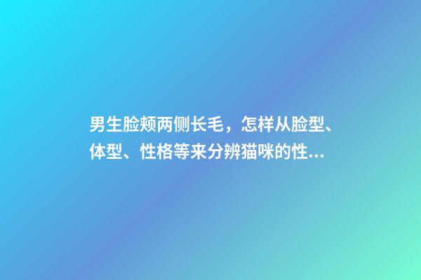 男生脸颊两侧长毛，怎样从脸型、体型、性格等来分辨猫咪的性别-第1张-观点-玄机派