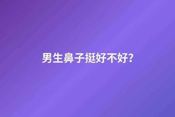 男生鼻子挺好不好？