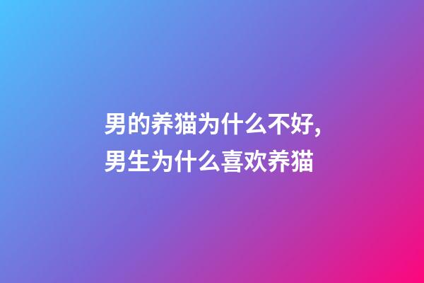 男的养猫为什么不好,男生为什么喜欢养猫-第1张-观点-玄机派
