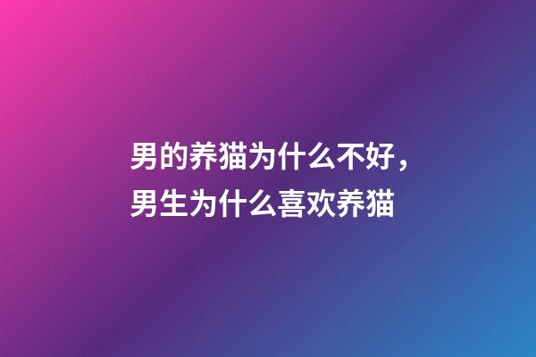 男的养猫为什么不好，男生为什么喜欢养猫-第1张-观点-玄机派