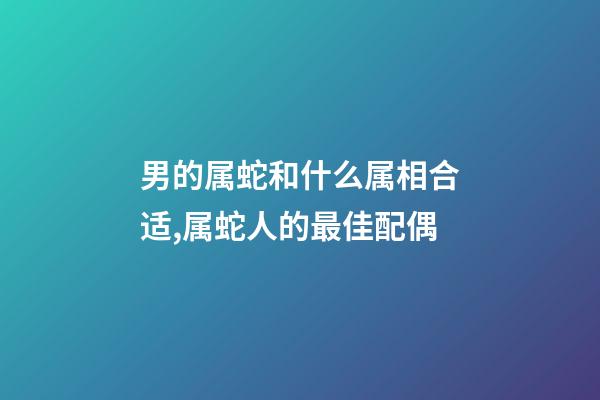 男的属蛇和什么属相合适,属蛇人的最佳配偶-第1张-观点-玄机派
