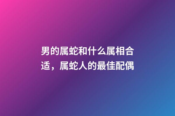 男的属蛇和什么属相合适，属蛇人的最佳配偶-第1张-观点-玄机派