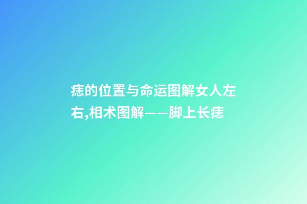 痣的位置与命运图解女人左右,相术图解——脚上长痣-第1张-观点-玄机派