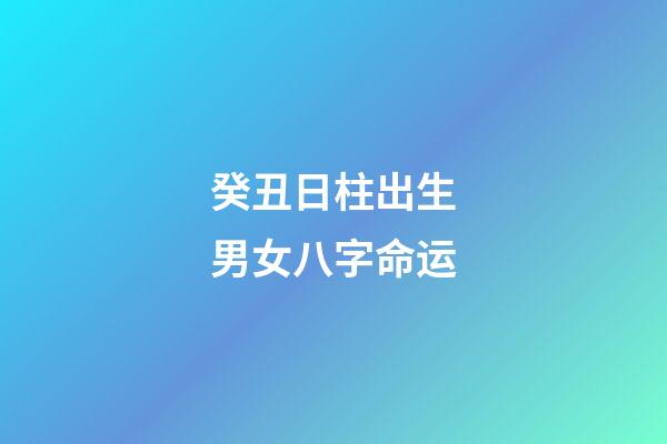 癸丑日柱出生男女八字命运