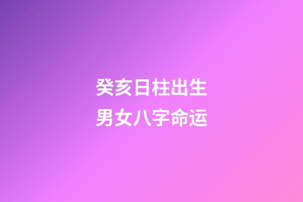 癸亥日柱出生男女八字命运