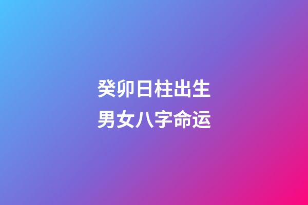 癸卯日柱出生男女八字命运