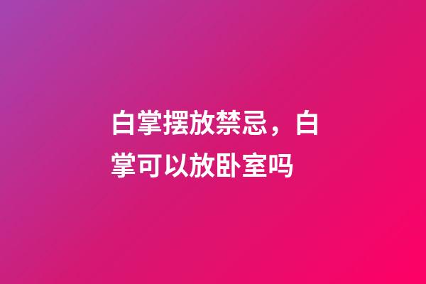 白掌摆放禁忌，白掌可以放卧室吗