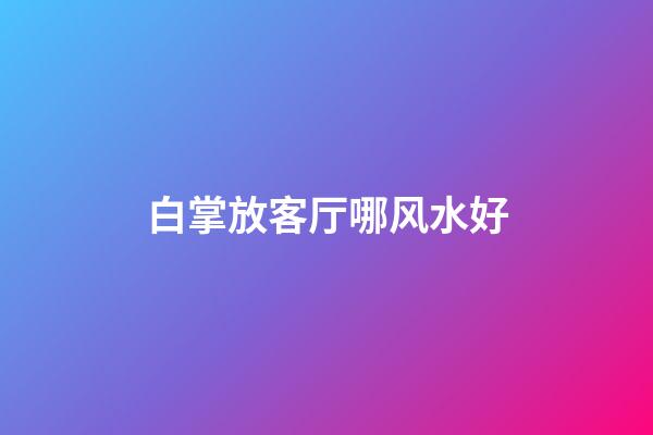 白掌放客厅哪风水好