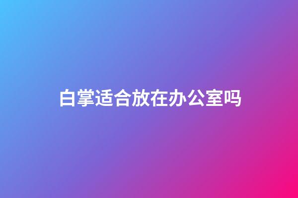 白掌适合放在办公室吗