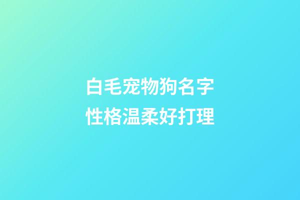 白毛宠物狗名字性格温柔好打理