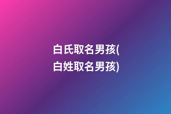 白氏取名男孩(白姓取名男孩)