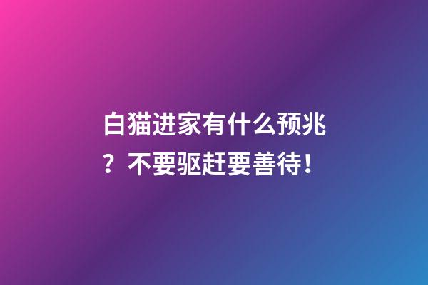 白猫进家有什么预兆？不要驱赶要善待！
