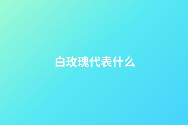 白玫瑰代表什么