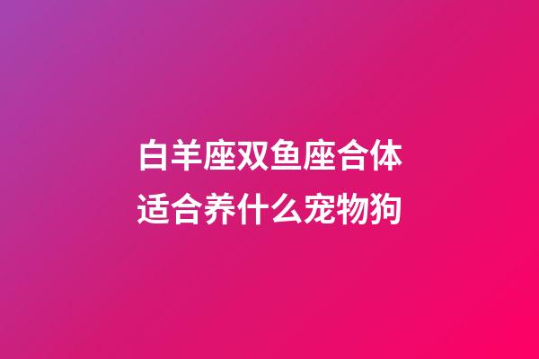 白羊座双鱼座合体适合养什么宠物狗-第1张-星座运势-玄机派