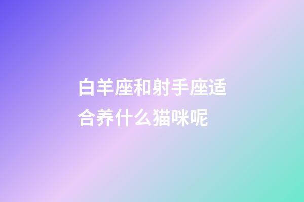 白羊座和射手座适合养什么猫咪呢-第1张-星座运势-玄机派