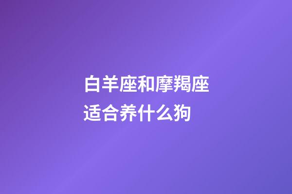 白羊座和摩羯座适合养什么狗-第1张-星座运势-玄机派