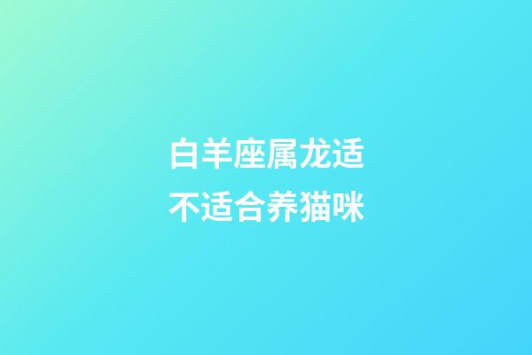 白羊座属龙适不适合养猫咪-第1张-星座运势-玄机派