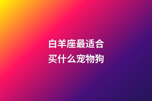 白羊座最适合买什么宠物狗-第1张-星座运势-玄机派