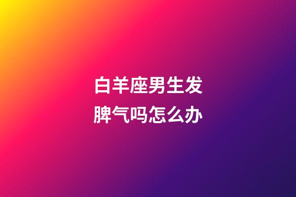 白羊座男生发脾气吗怎么办-第1张-星座运势-玄机派