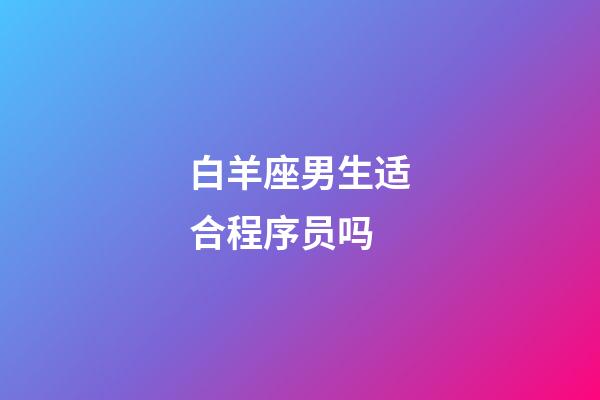白羊座男生适合程序员吗