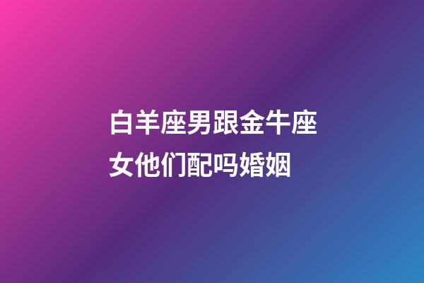 白羊座男跟金牛座女他们配吗婚姻-第1张-星座运势-玄机派