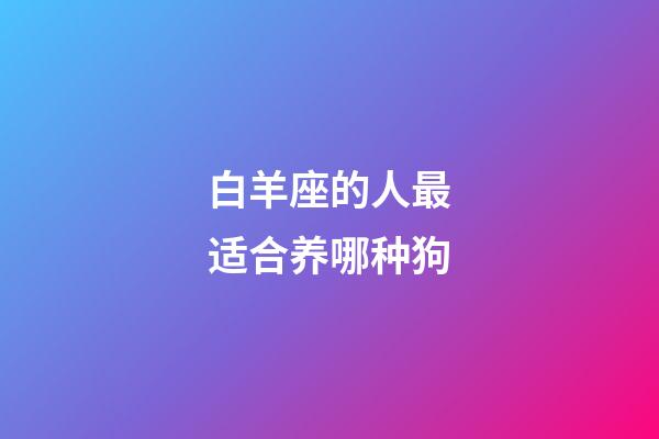 白羊座的人最适合养哪种狗-第1张-星座运势-玄机派