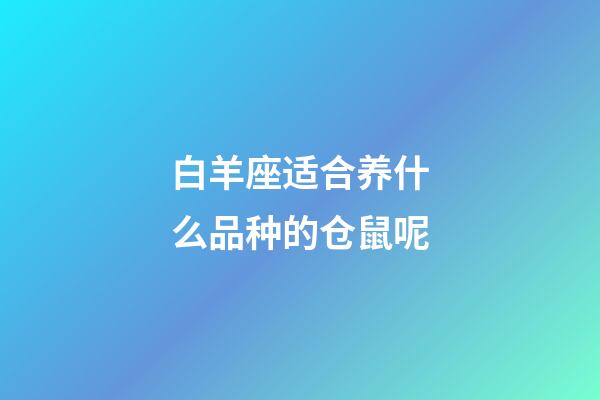 白羊座适合养什么品种的仓鼠呢-第1张-星座运势-玄机派